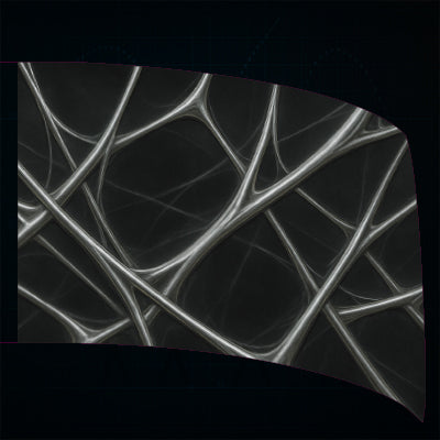 Webs - Standard Flag